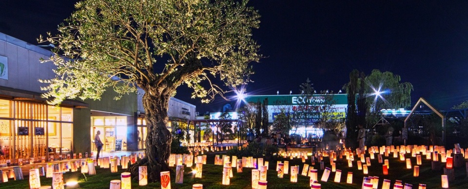 夜灯image（取り込み用）