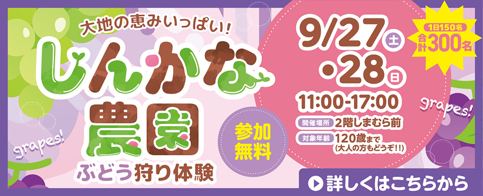 ●20250927-28　しんかな農園ぶどう